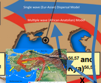 Anatolian Fault Lines